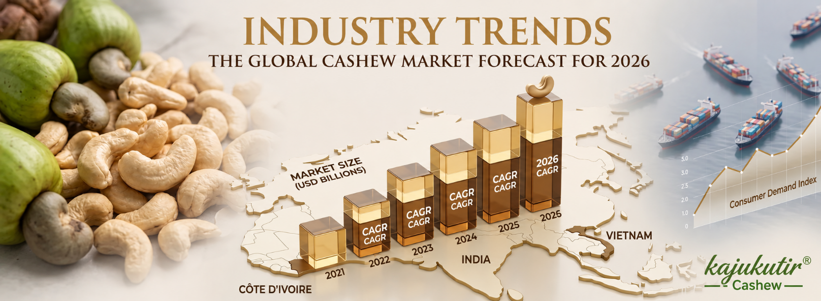 The Global Cashew Market Forecast for 2026